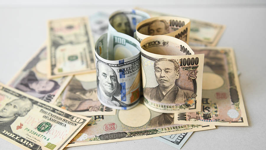 Yen Melemah Terkait Para Pedagang Bersikap Mendukung BOJ, Dolar Menguat